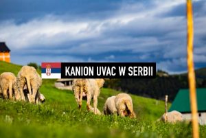 Dzikie oblicze Serbii – Kanion rzeki Uvac